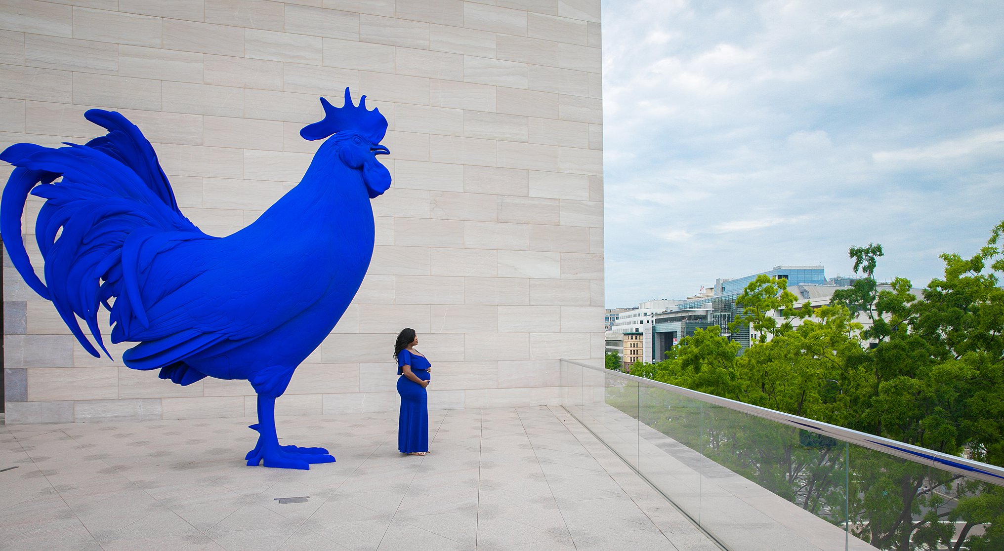 National Gallery of Art Maternity and Engagement Photos Hahn/Cock
